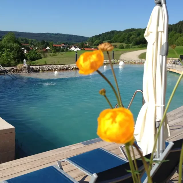 Saunateich mit Liegemöglichkeiten auf der Terrasse und um den Teich