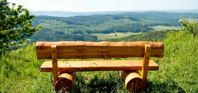 Holzbank auf einem Hügel mit dem Blick auf einen Wald