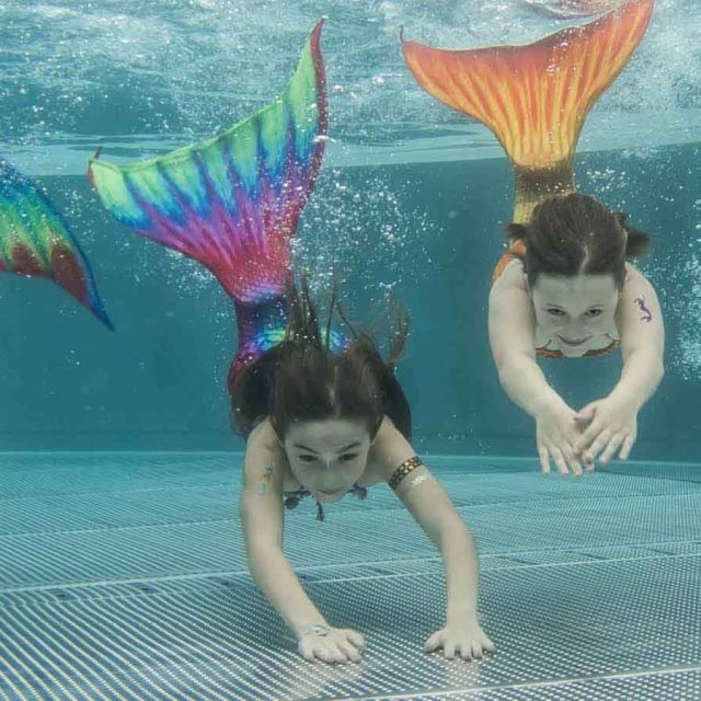 Vier lachende Mädchen, die mit bunten Meerjungfrauenflossen durch ein Schwimmbecken tauchen.